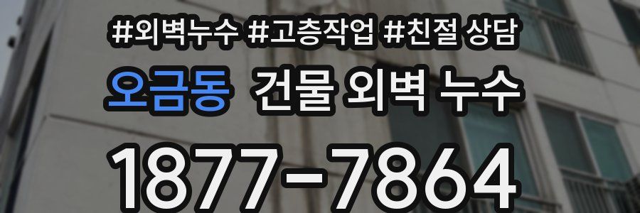 오금동 건물 외벽 누수