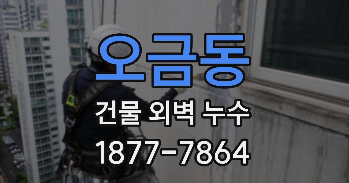 오금동 건물 외벽 누수