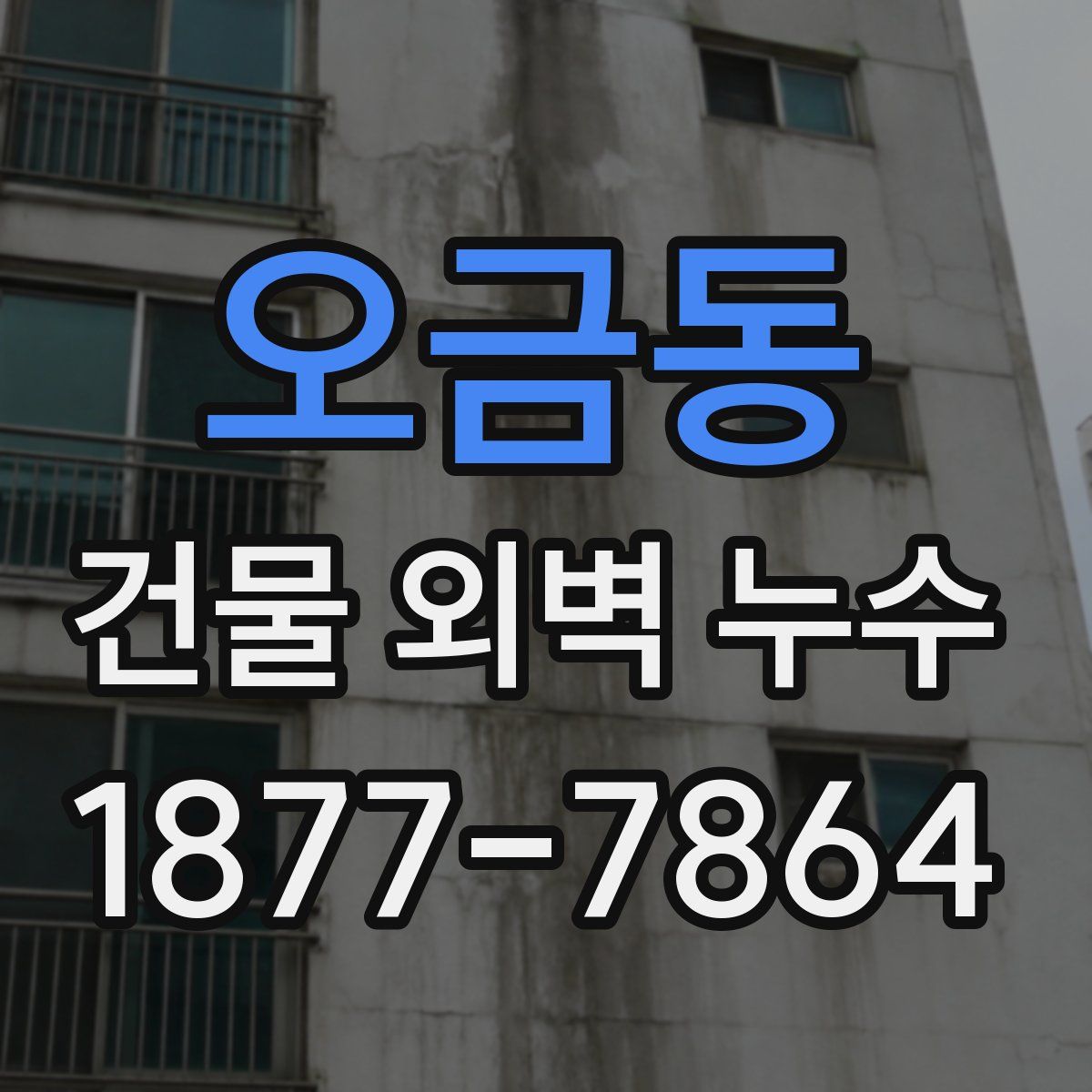 오금동 건물 외벽 누수