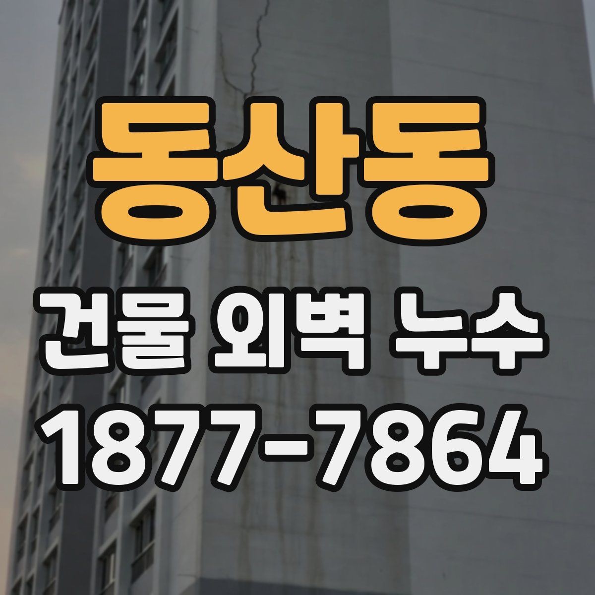 동산동 건물 외벽 누수 수리 전에 비교할 요소