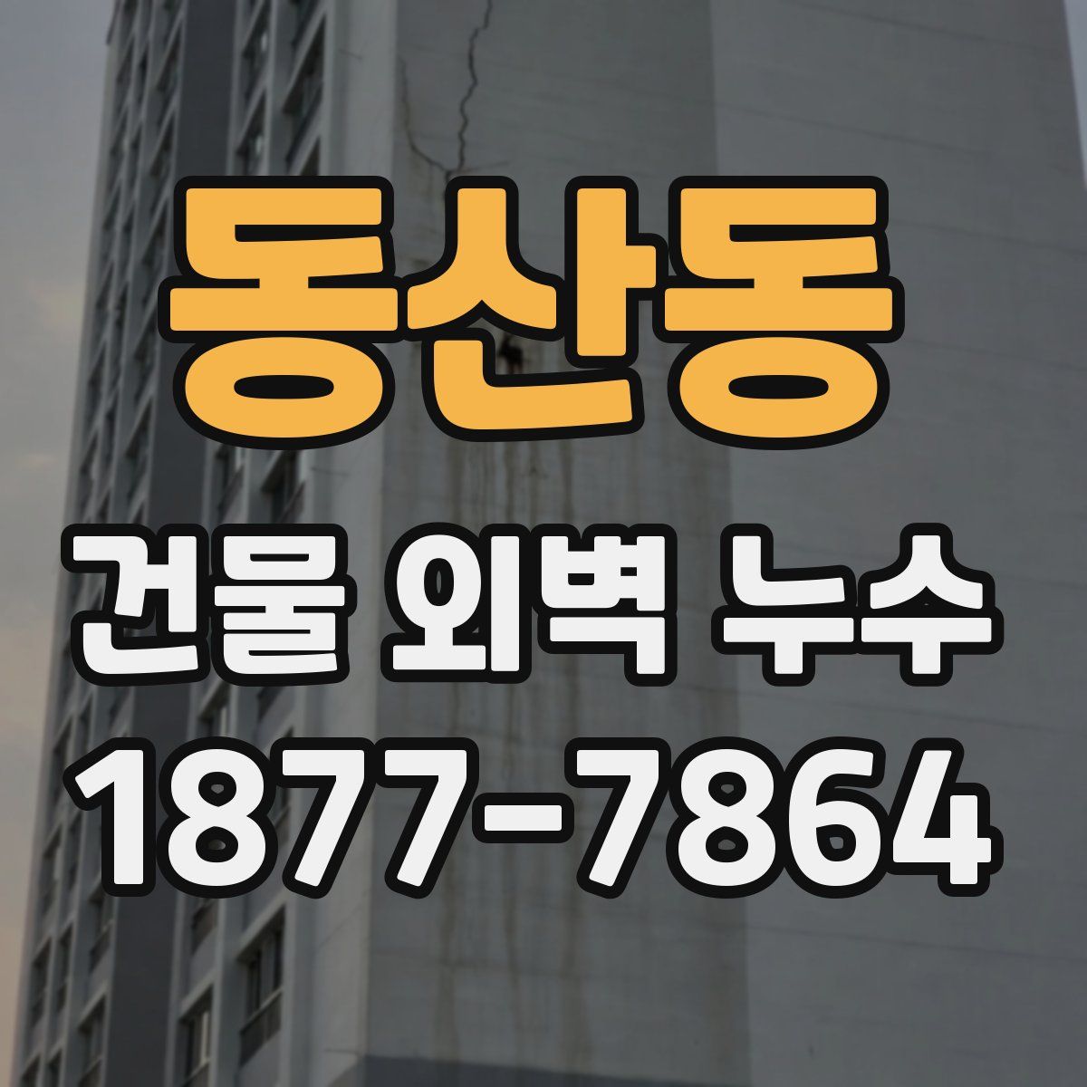 동산동 건물 외벽 누수