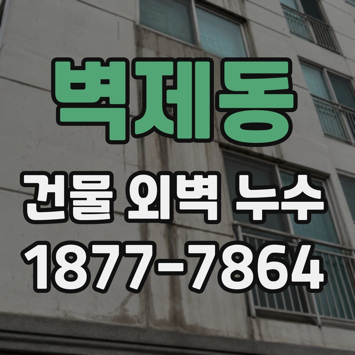 벽제동 건물 외벽 누수