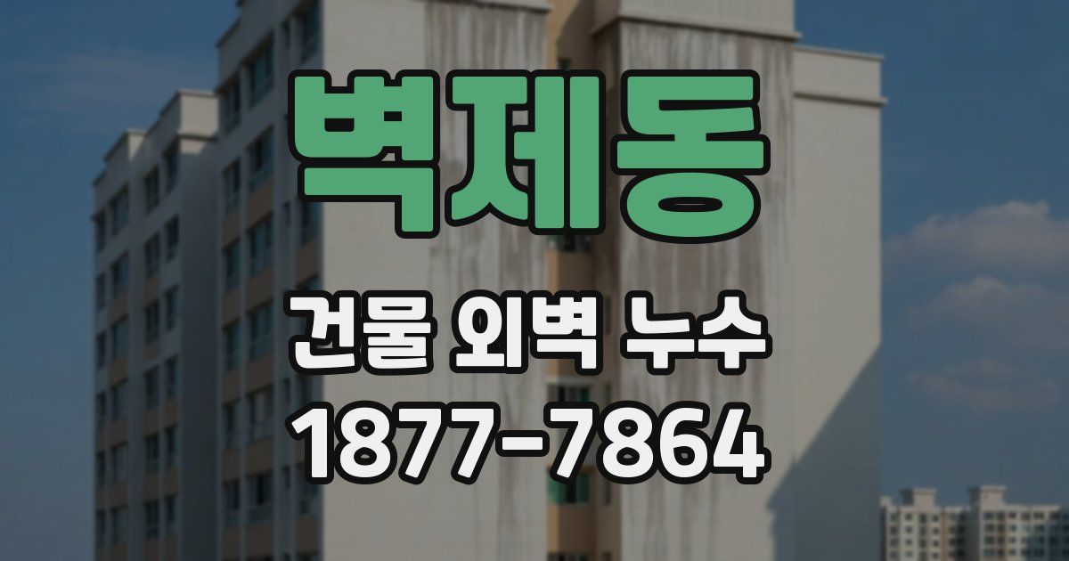 벽제동 건물 외벽 누수