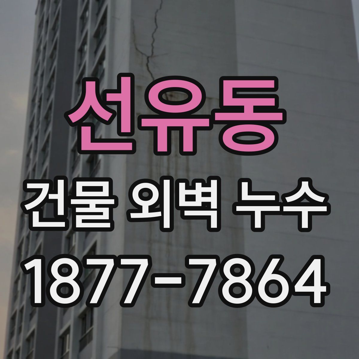선유동 건물 외벽 누수