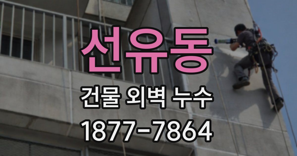 선유동 건물 외벽 누수