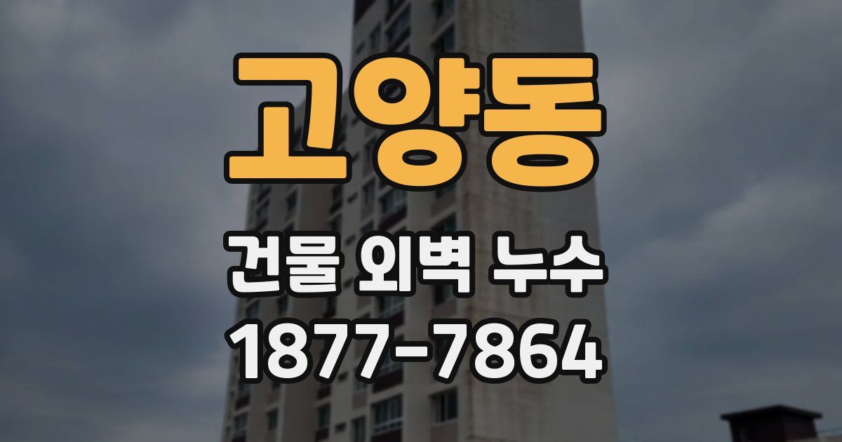 고양동 건물 외벽 누수