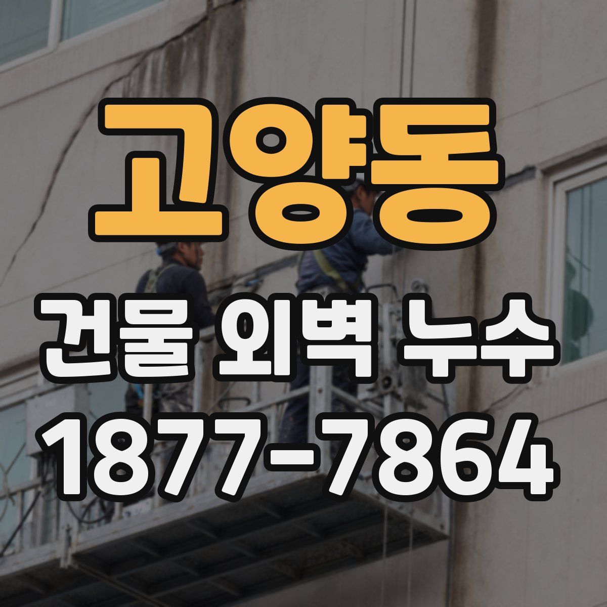 고양동 건물 외벽 누수
