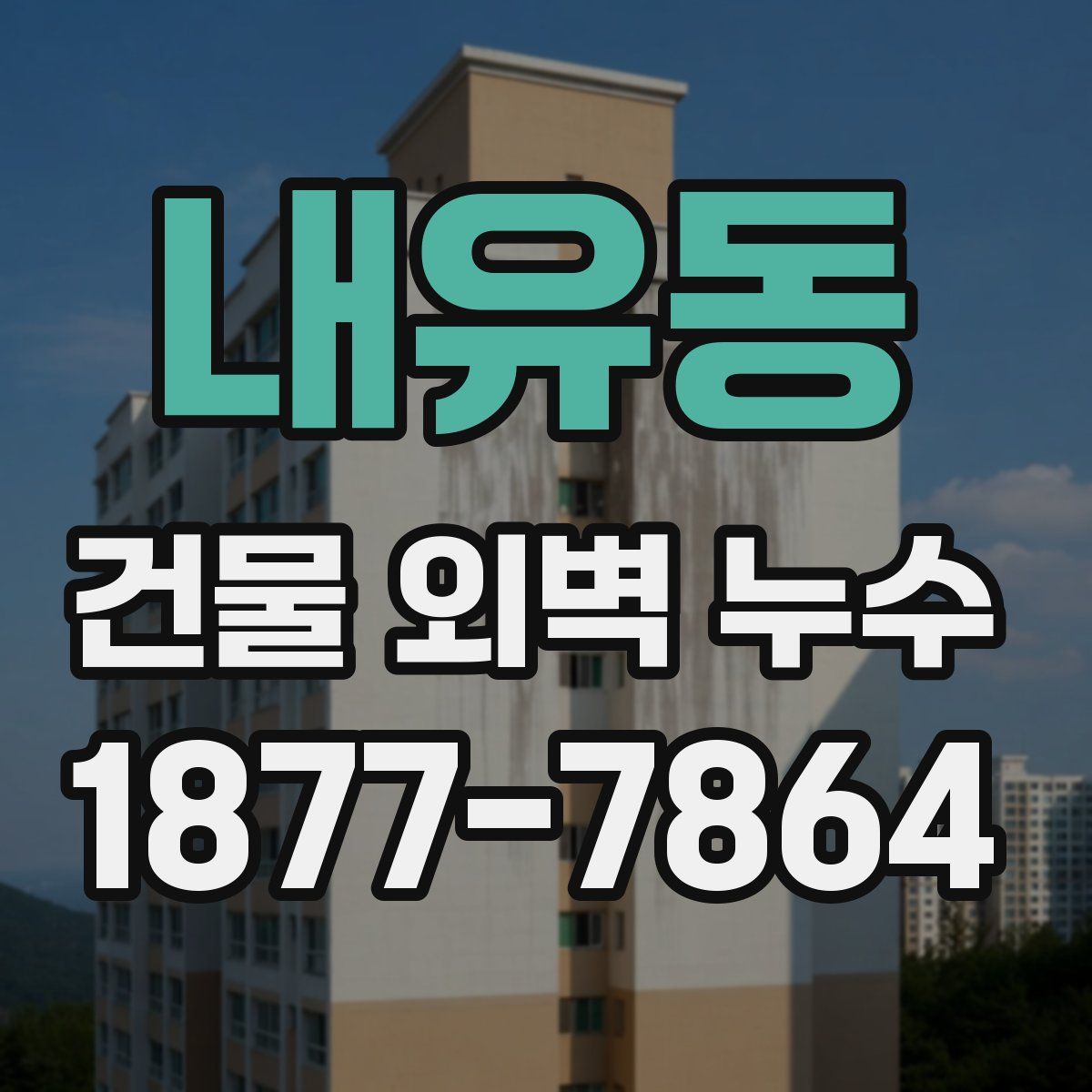 내유동 건물 외벽 누수