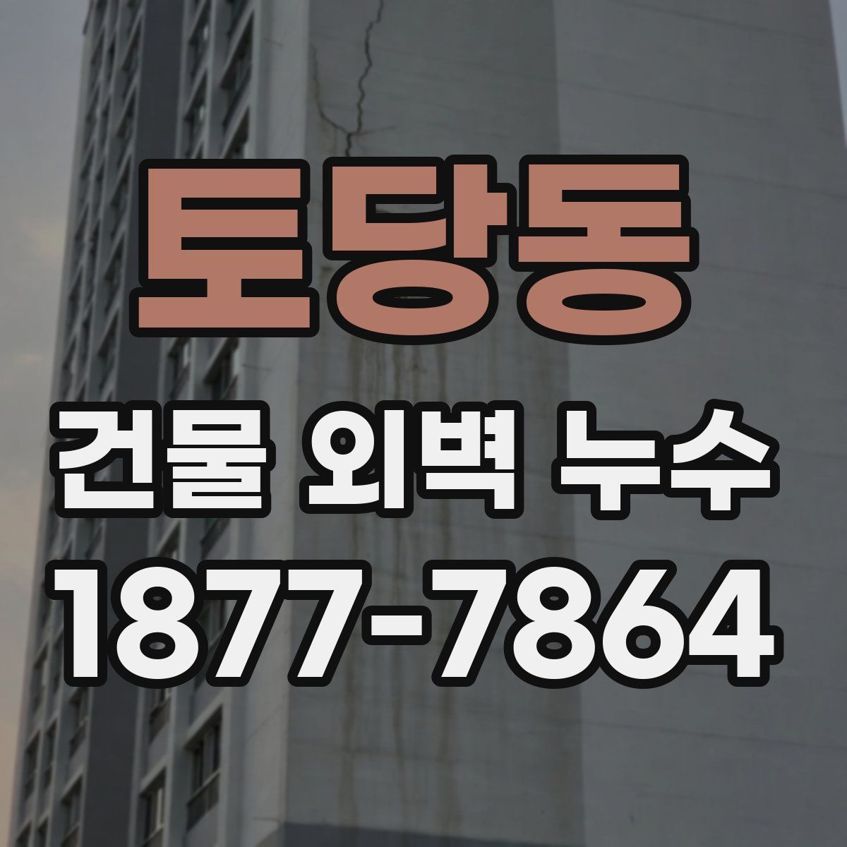 토당동 건물 외벽 누수