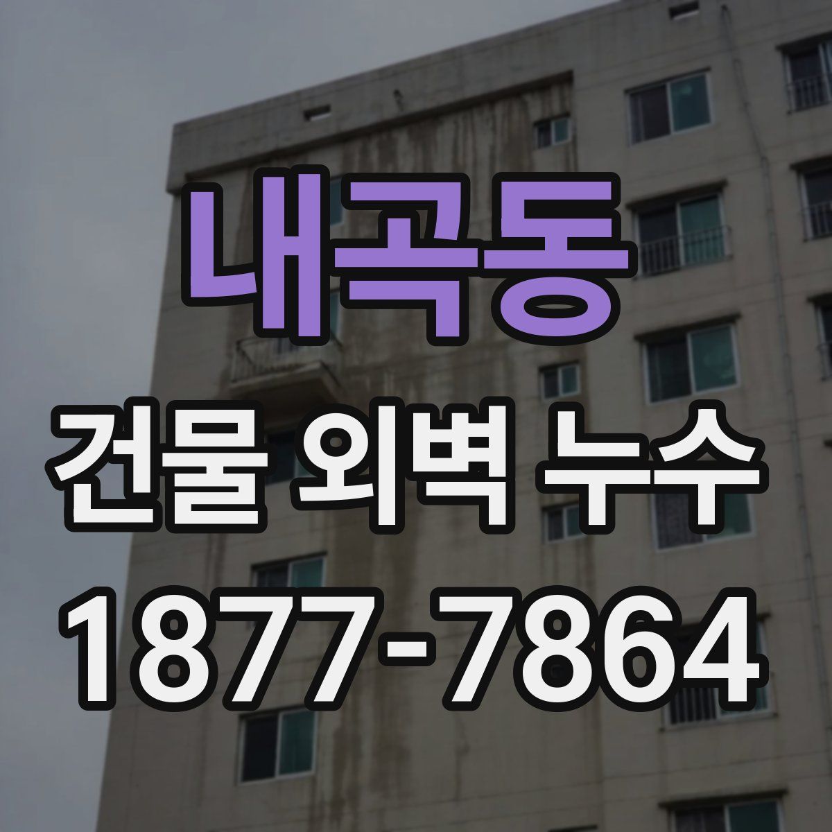내곡동 건물 외벽 누수