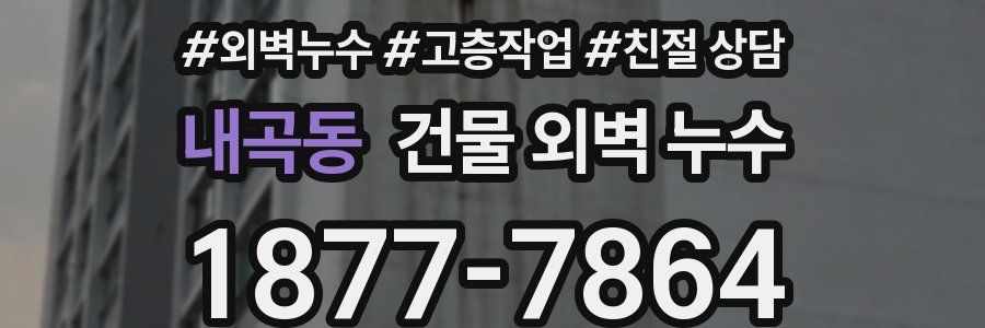 내곡동 건물 외벽 누수