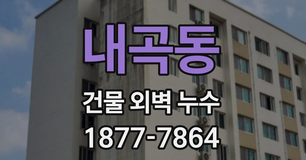 내곡동 건물 외벽 누수
