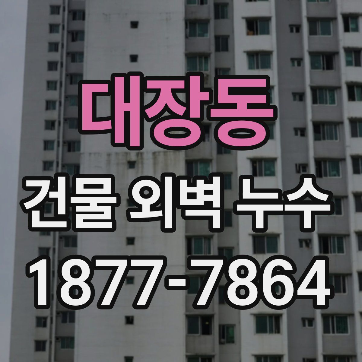 대장동 건물 외벽 누수