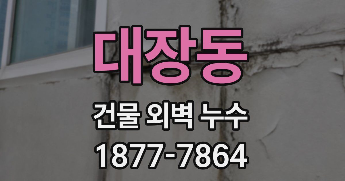대장동 건물 외벽 누수