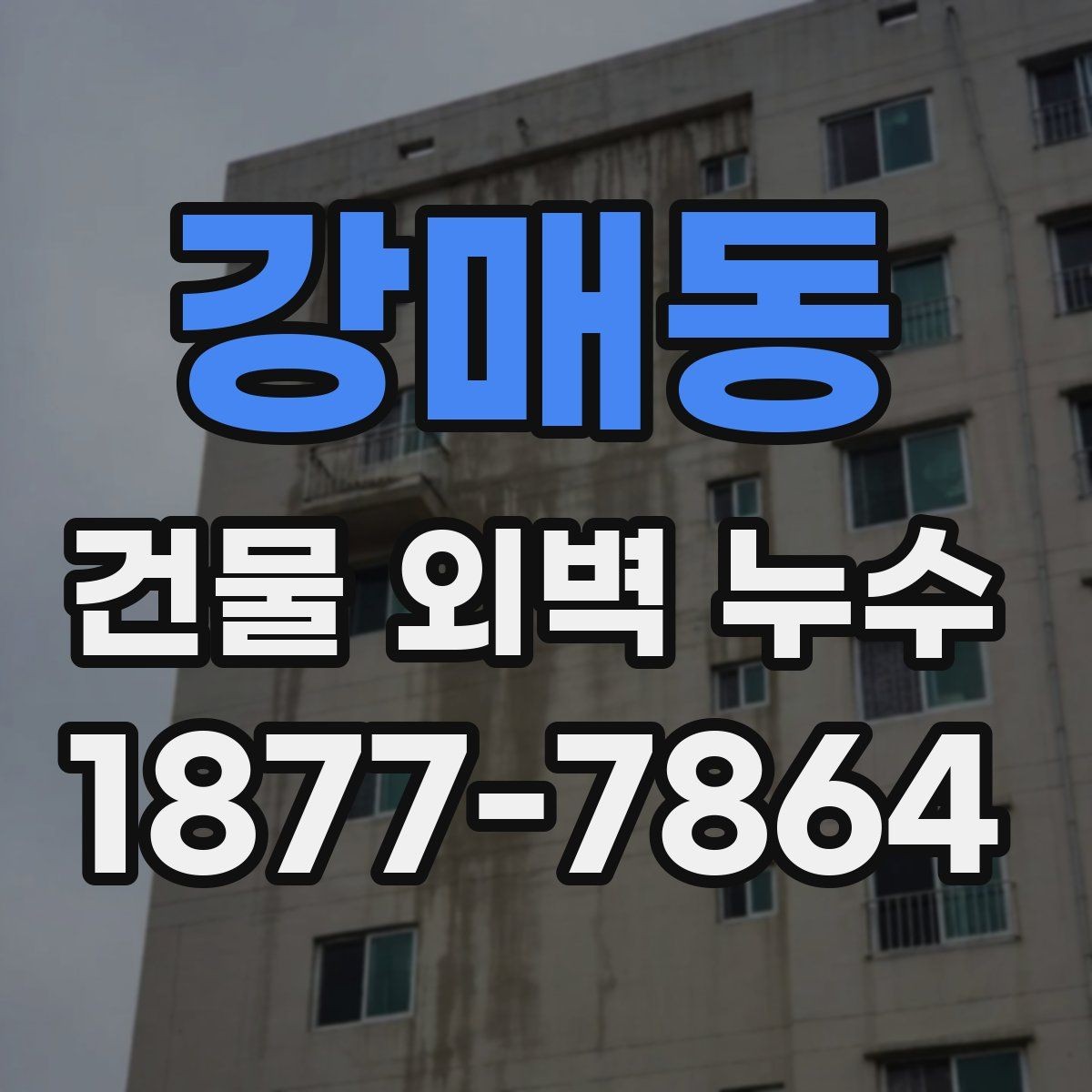 강매동 건물 외벽 누수 보수 범위를 정하는 기준