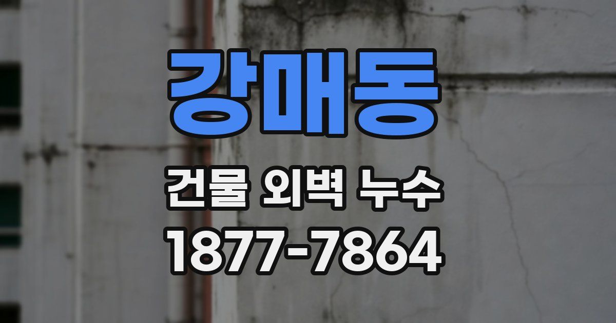 강매동 건물 외벽 누수