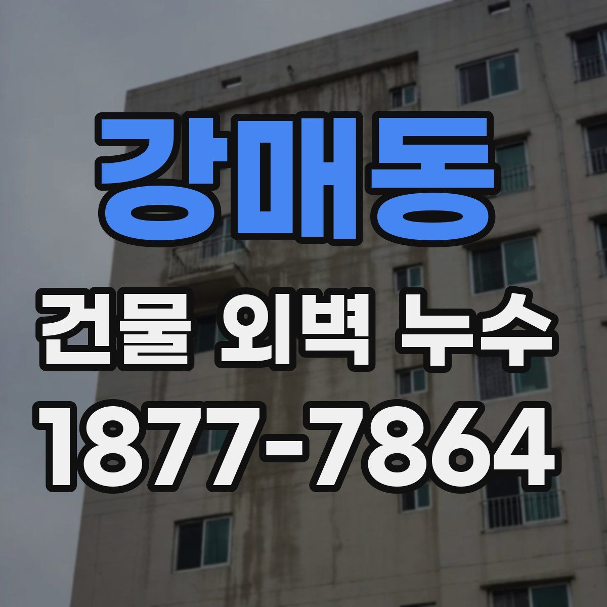 강매동 건물 외벽 누수