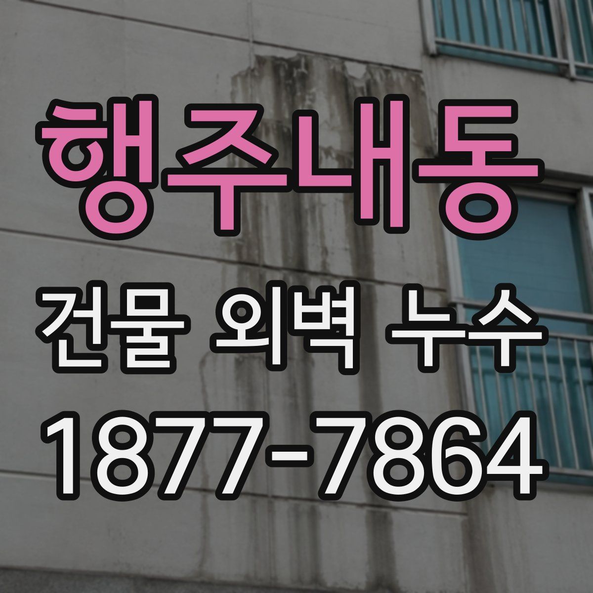 행주내동 건물 외벽 누수