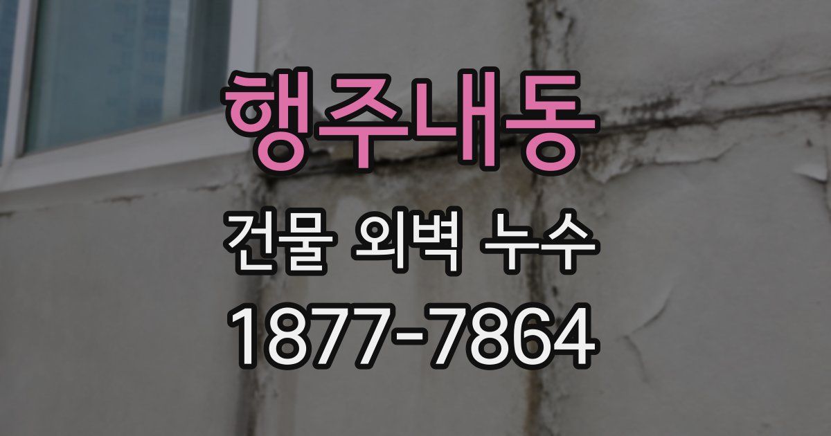 행주내동 건물 외벽 누수