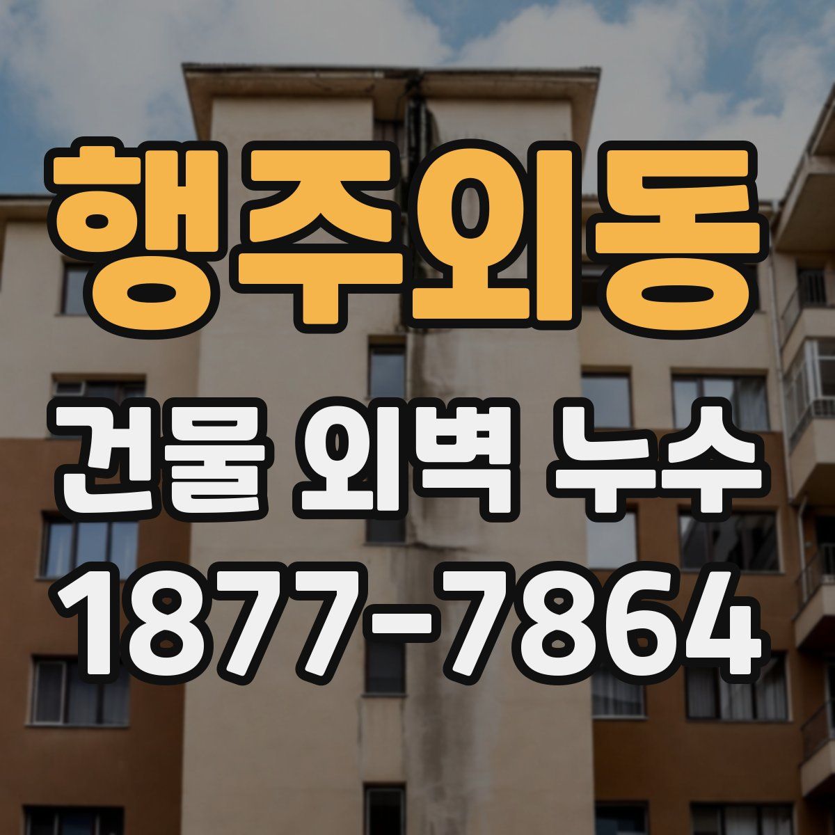 행주외동 건물 외벽 누수