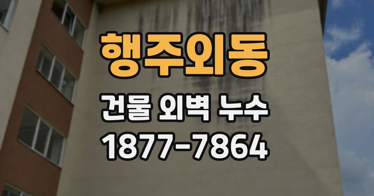 행주외동 건물 외벽 누수