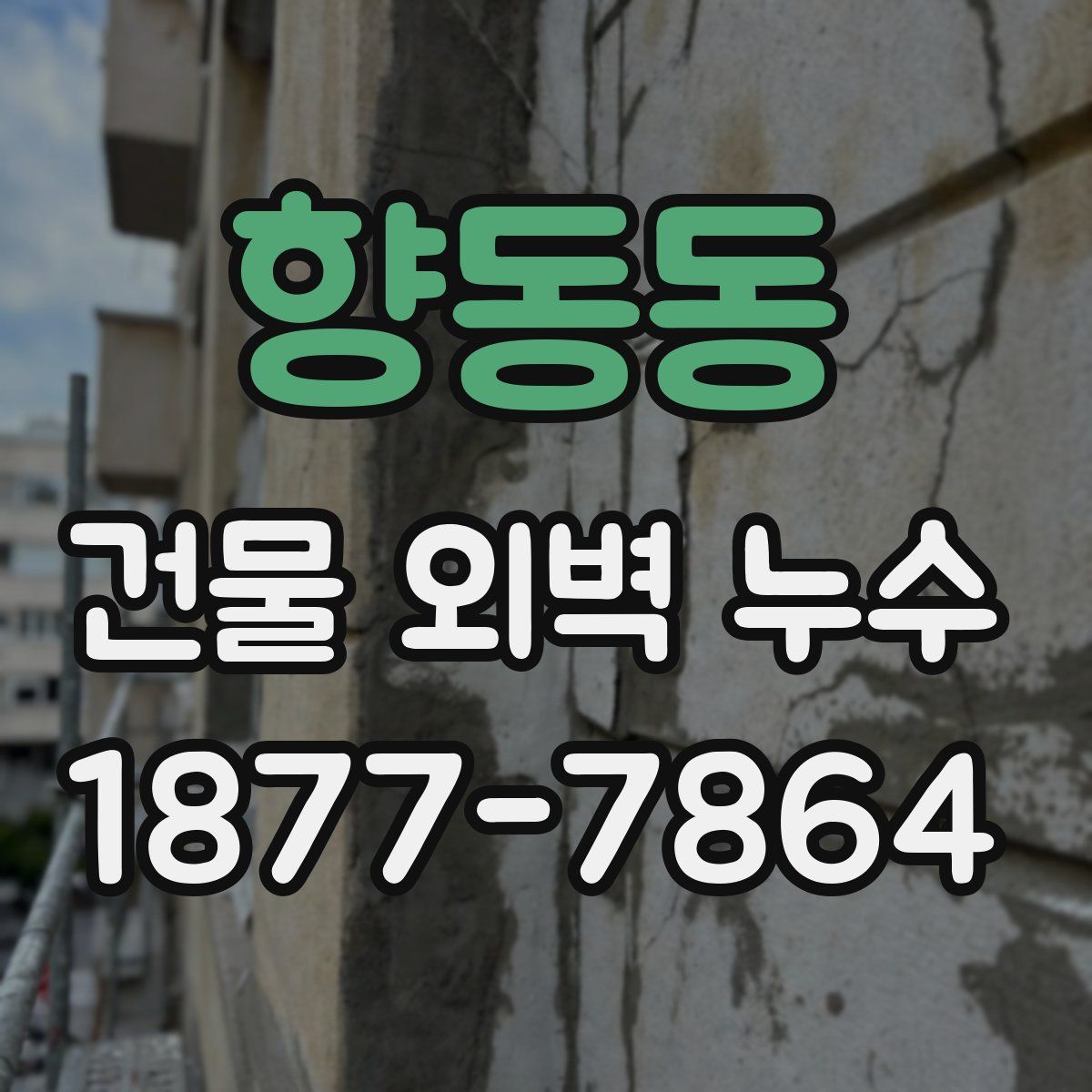 향동동 건물 외벽 누수