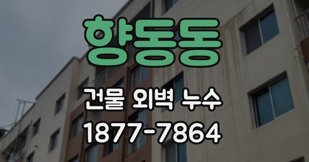 향동동 건물 외벽 누수