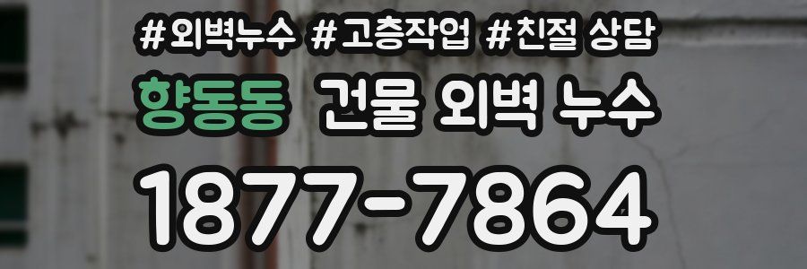 향동동 건물 외벽 누수