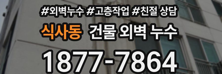 식사동 건물 외벽 누수