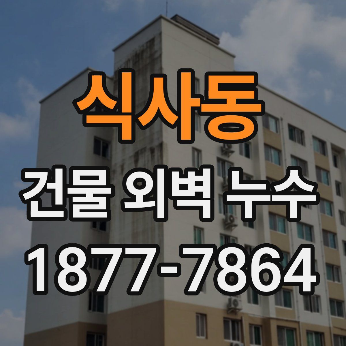 식사동 건물 외벽 누수