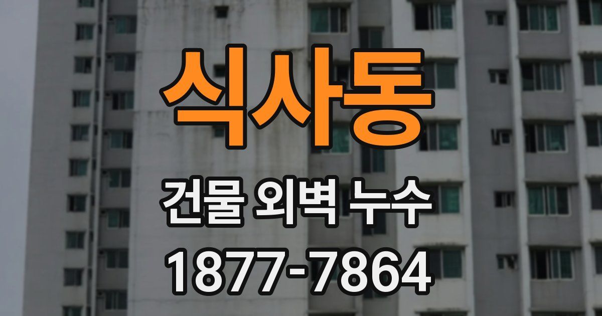 식사동 건물 외벽 누수