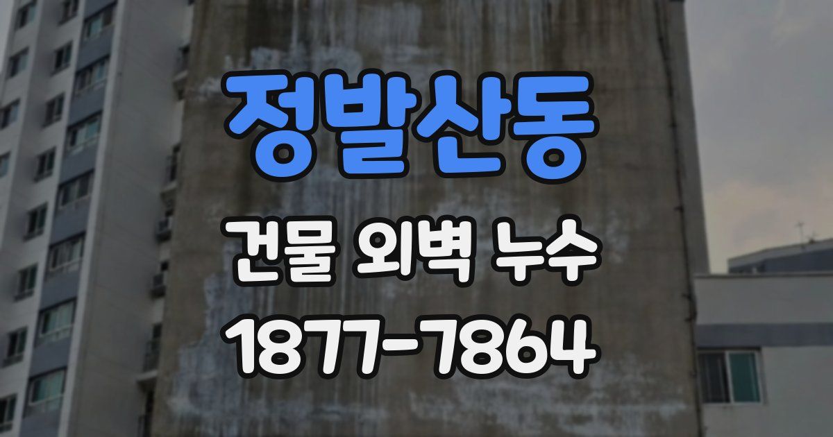 정발산동 건물 외벽 누수