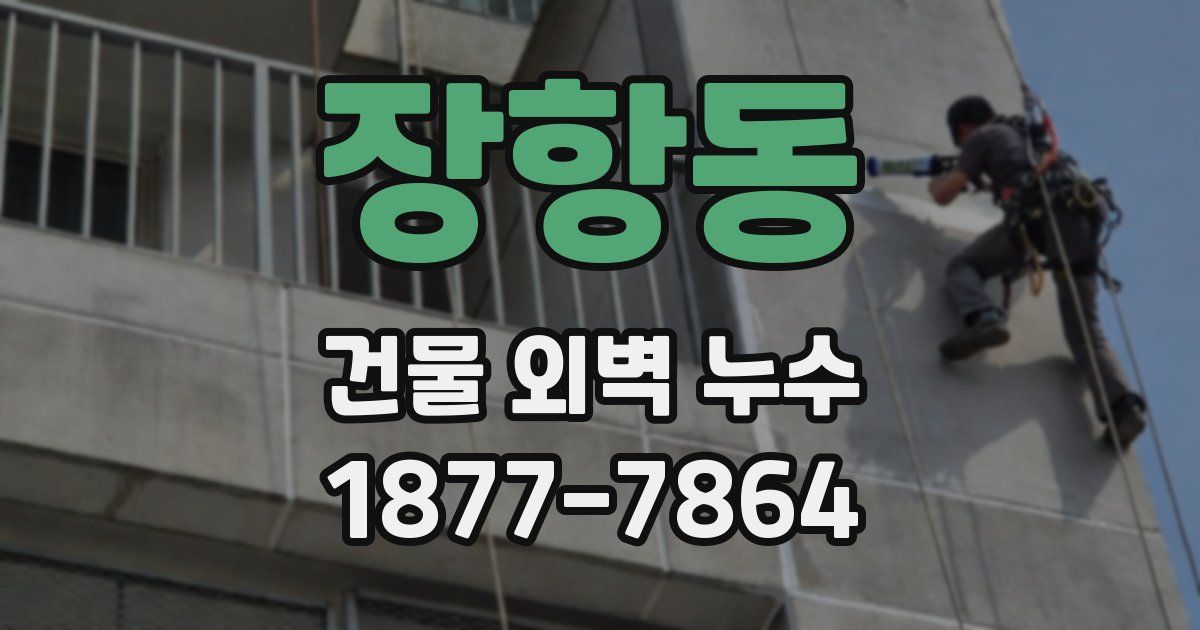 장항동 건물 외벽 누수