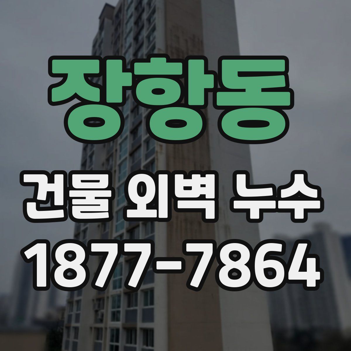 장항동 건물 외벽 누수