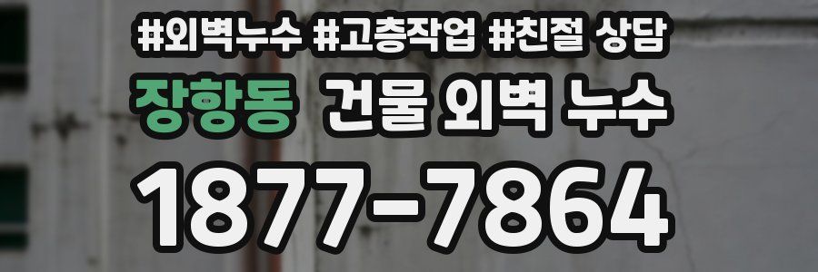 장항동 건물 외벽 누수