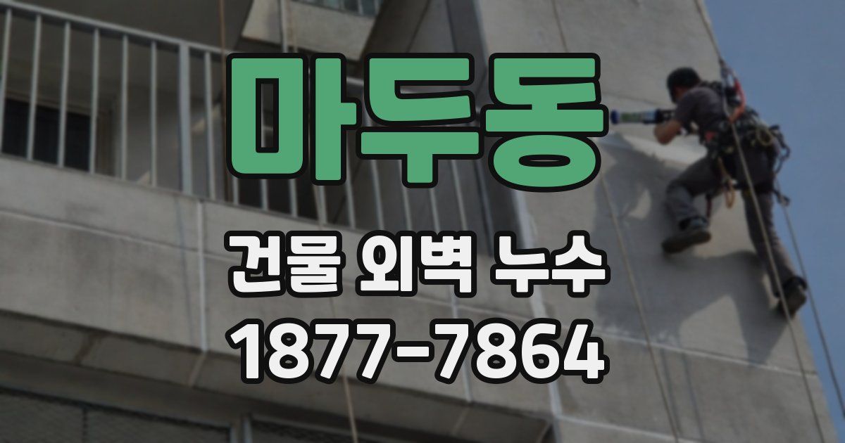 마두동 건물 외벽 누수