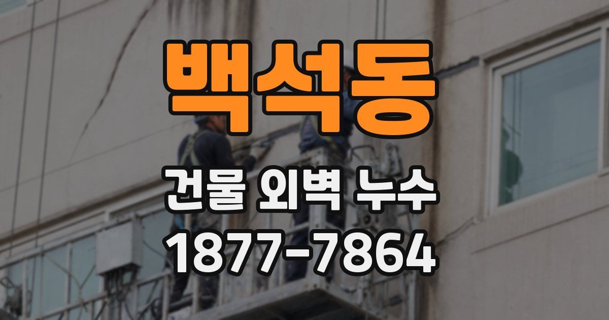 백석동 건물 외벽 누수