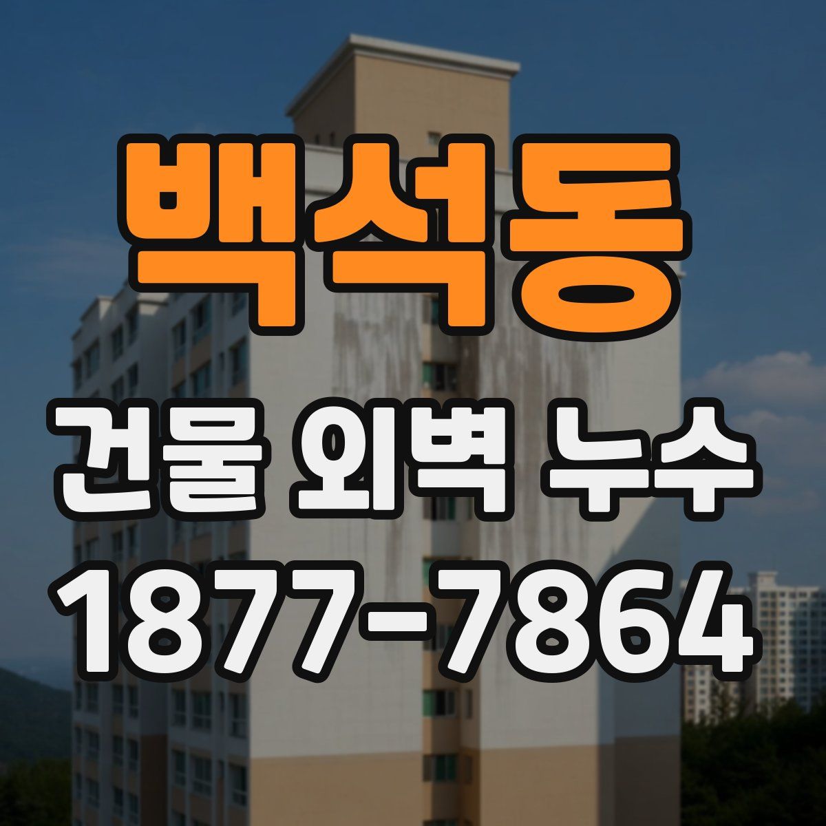 백석동 건물 외벽 누수