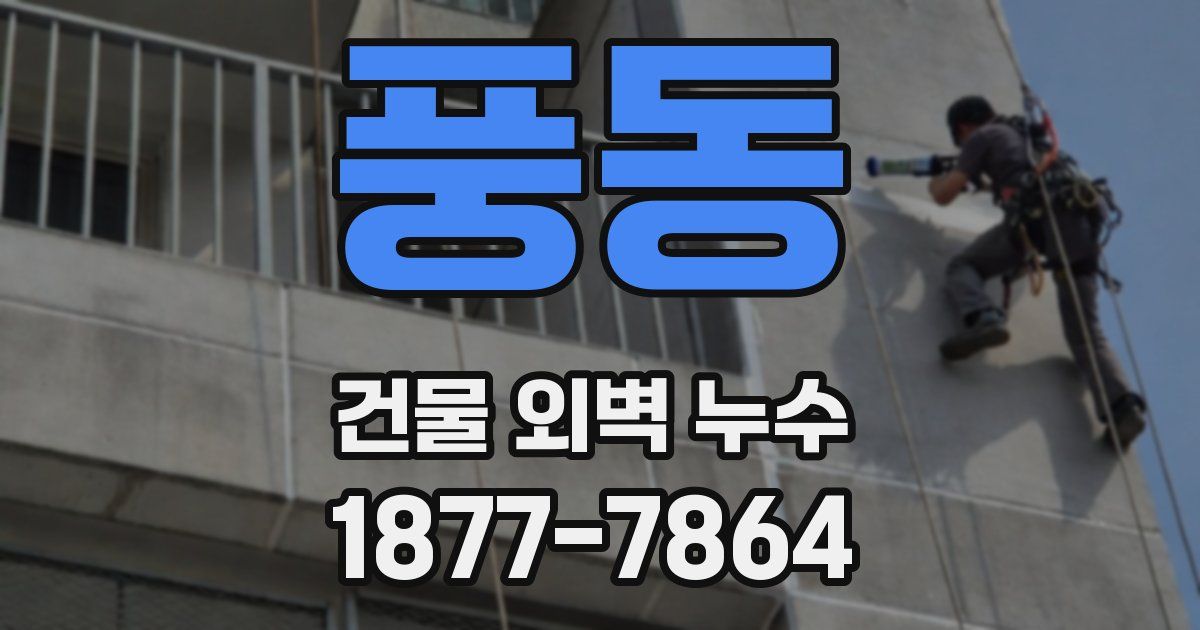 풍동 건물 외벽 누수