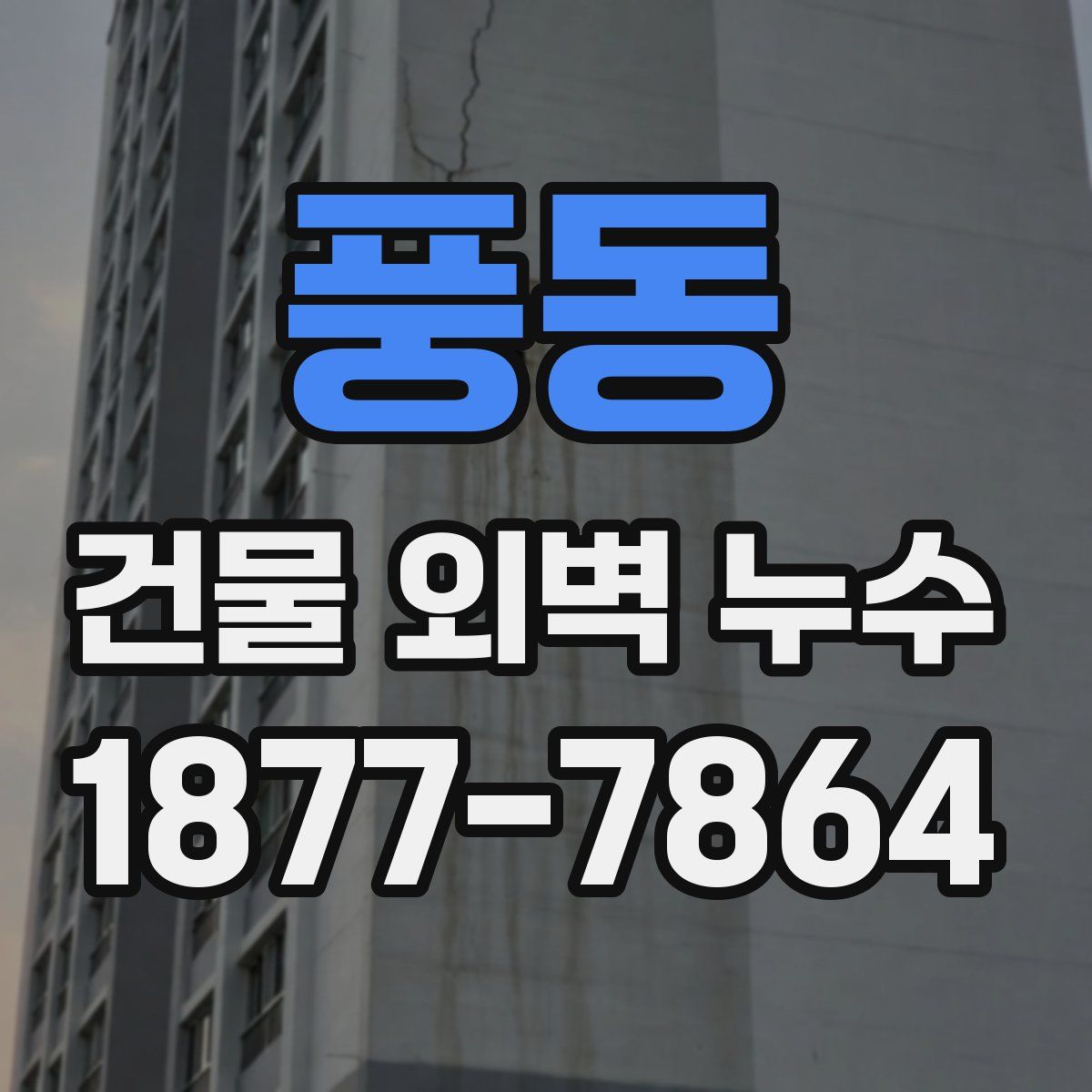 풍동 건물 외벽 누수