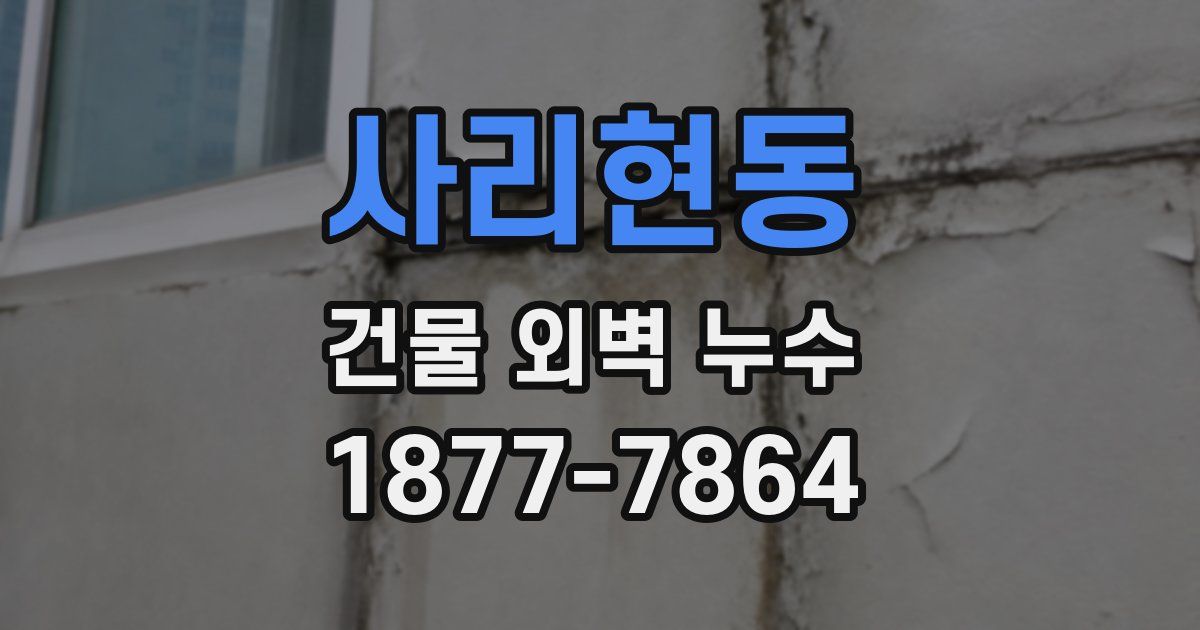 사리현동 건물 외벽 누수
