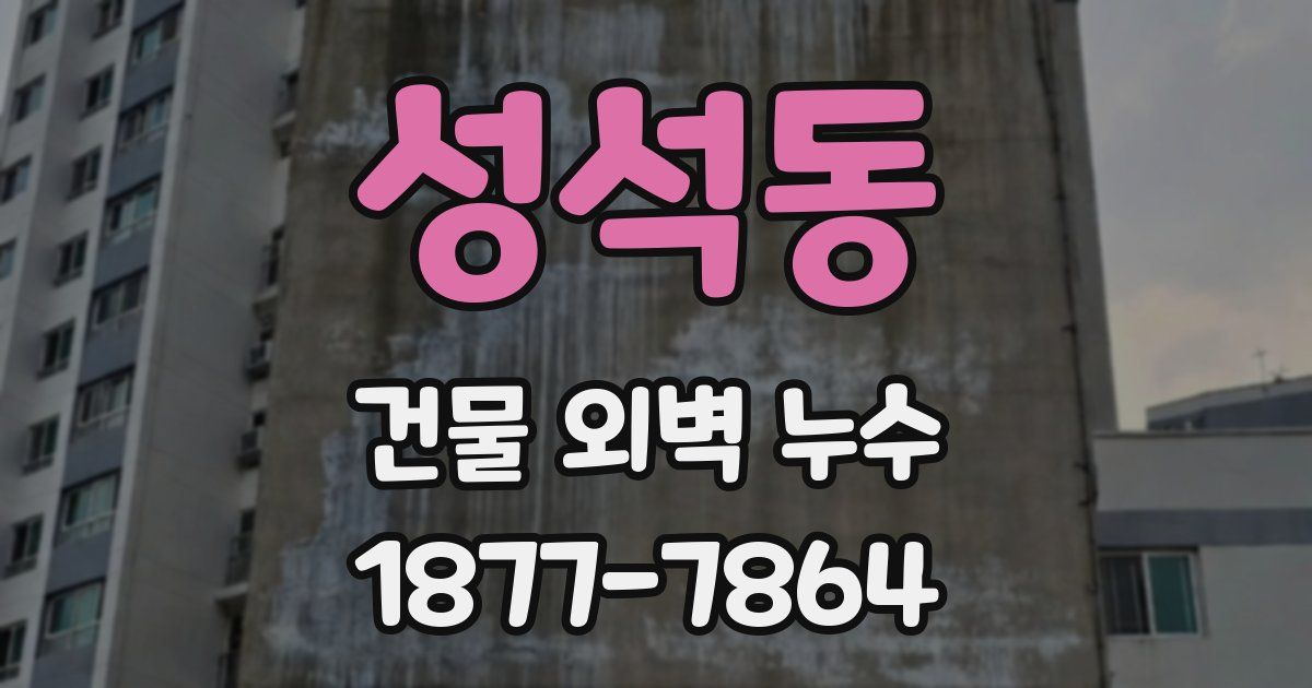 성석동 건물 외벽 누수