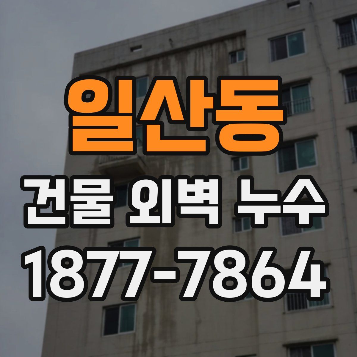 일산동 건물 외벽 누수