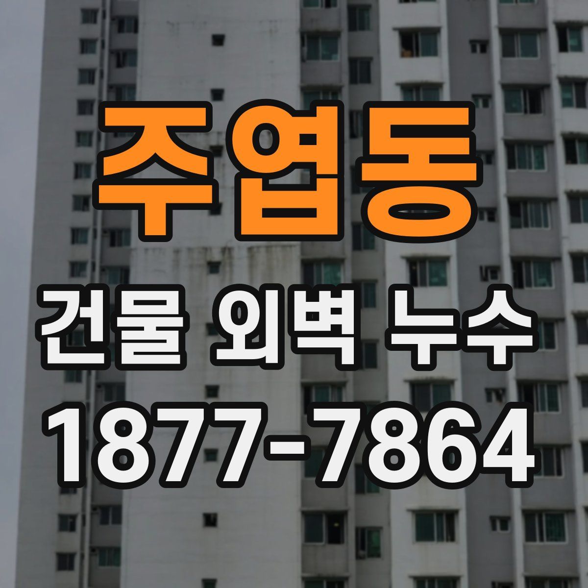 주엽동 건물 외벽 누수