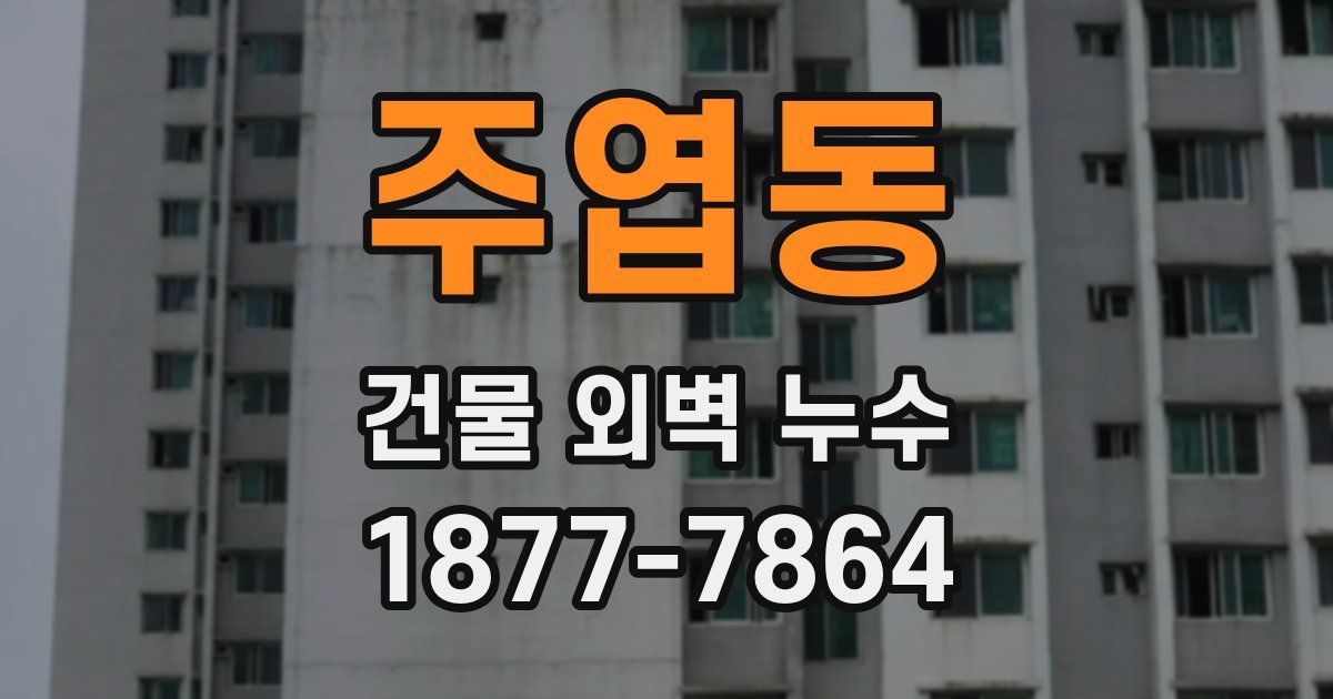 주엽동 건물 외벽 누수