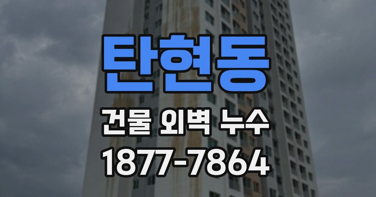 탄현동 건물 외벽 누수