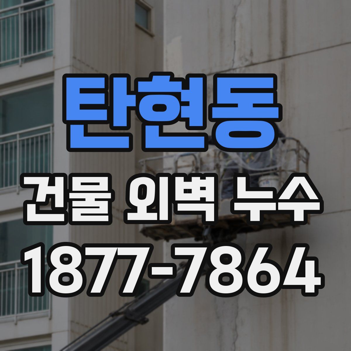 탄현동 건물 외벽 누수