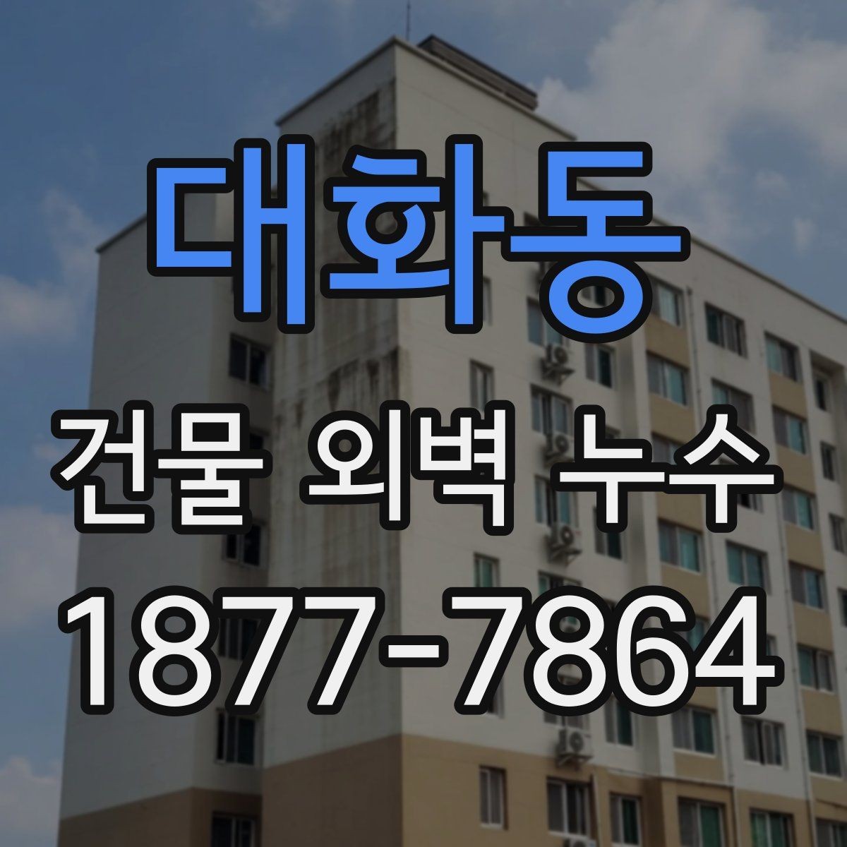 대화동 건물 외벽 누수 비용을 결정하는 핵심 요소