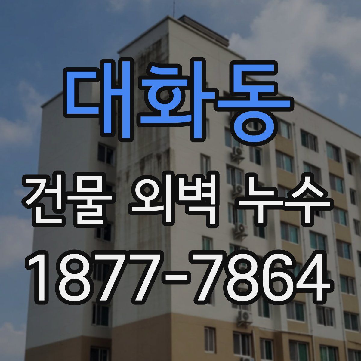 대화동 건물 외벽 누수