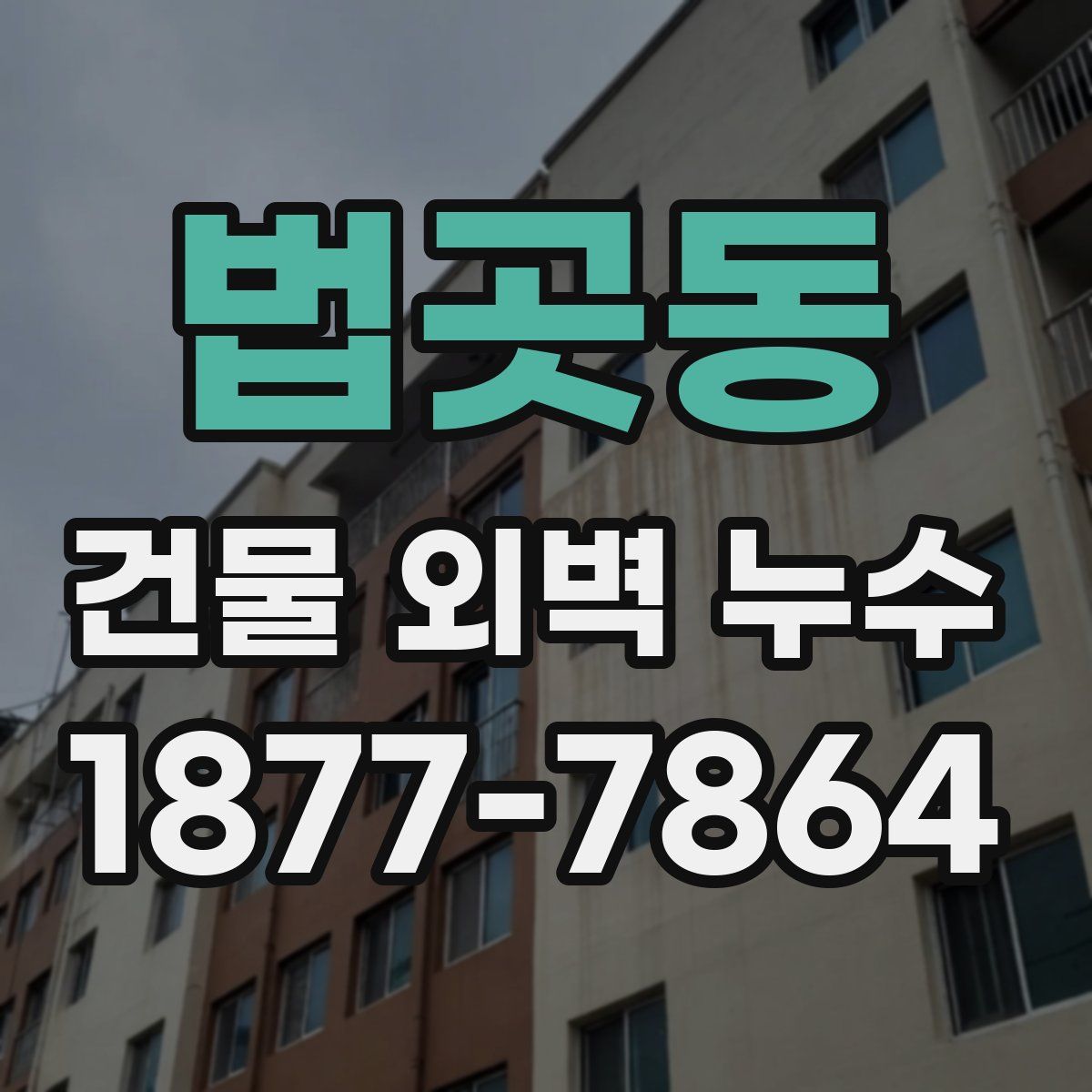 법곳동 건물 외벽 누수